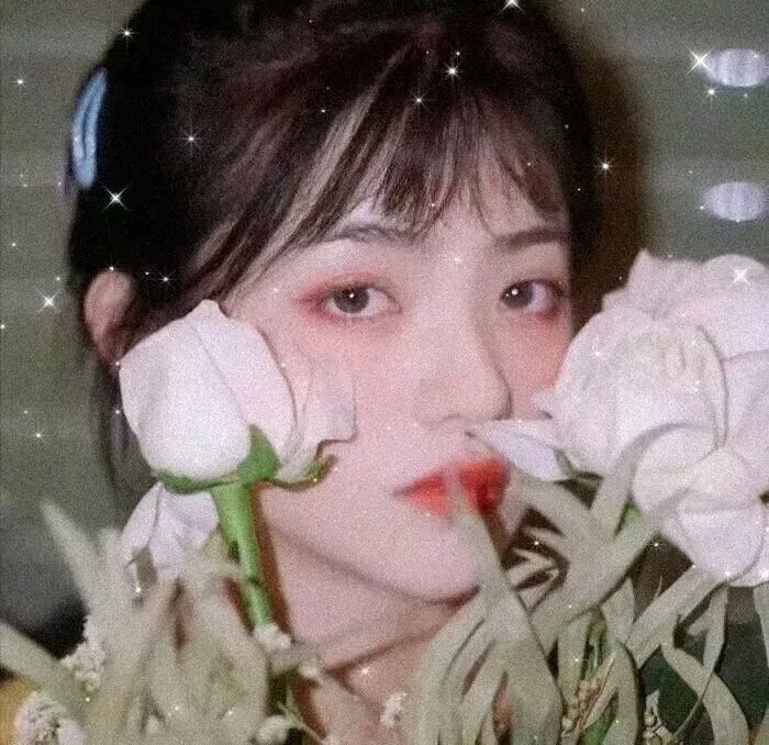 一路生花2025